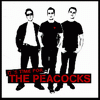 Peacocks, The - It 's Time For The Peacocks