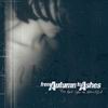 From Autumn To Ashes - Too Bad You're Beautiful